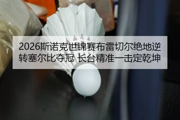 si-nuo-ke-shi-jin-sai-bu-lei-qie-er-jue-di-ni-zhuan-sai-er-bi-duo-guan-zhang-tai-jing-zhun-yi-ji-ding-qian-kun-2-181.jpg