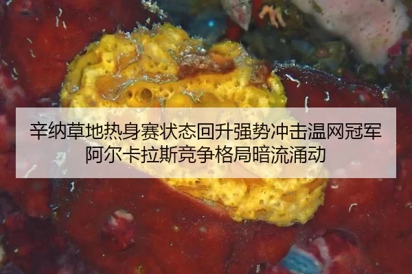 xin-na-cao-di-re-shen-sai-zhuang-tai-hui-sheng-qiang-shi-chong-ji-wen-wang-guan-jun-a-er-ka-la-si-jing-zheng-ge-ju-an-2-331.jpg